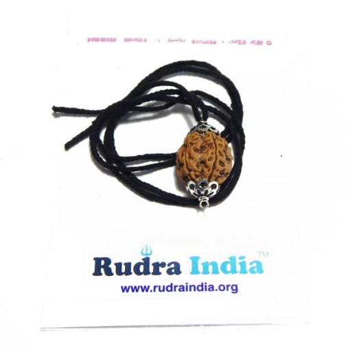 Black Thread Rudraksha Mala