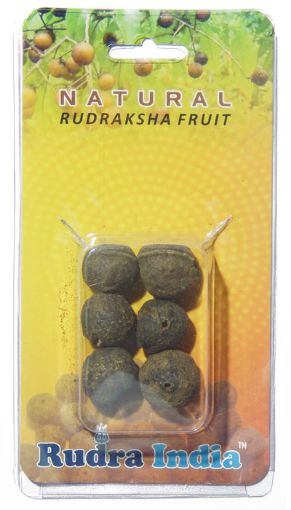 Natural Rudraksha Seed