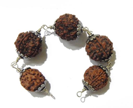 Health Shield Rudraksha Comination