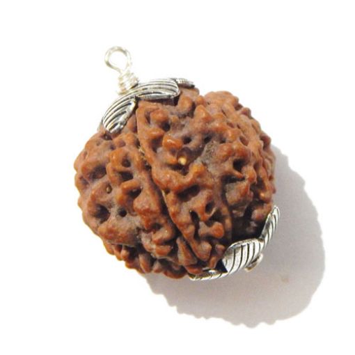 Six Mukhi Rudraksha Pendant
