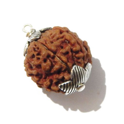 Six Mukhi Rudraksha Pendant