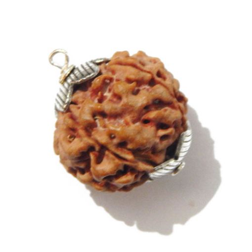Six Mukhi Rudraksha Pendant