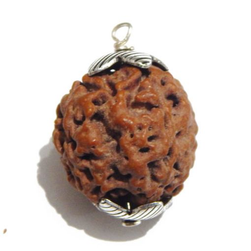 Four Mukhi Nepali Rudraksha Pendant