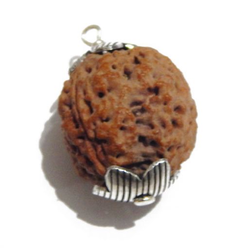 four mukhi nepali rudraksha Pendant