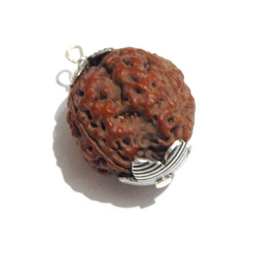 Four Mukhi Nepali Rudraksha Pendant