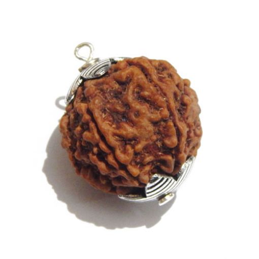 Six Mukhi Rudraksha Pendant