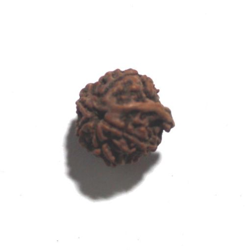 Ganesh Rudraksha