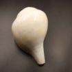 Big size Blowing Shankh